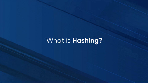 【B2转载】1分钟了解哈希运算 from Lisk